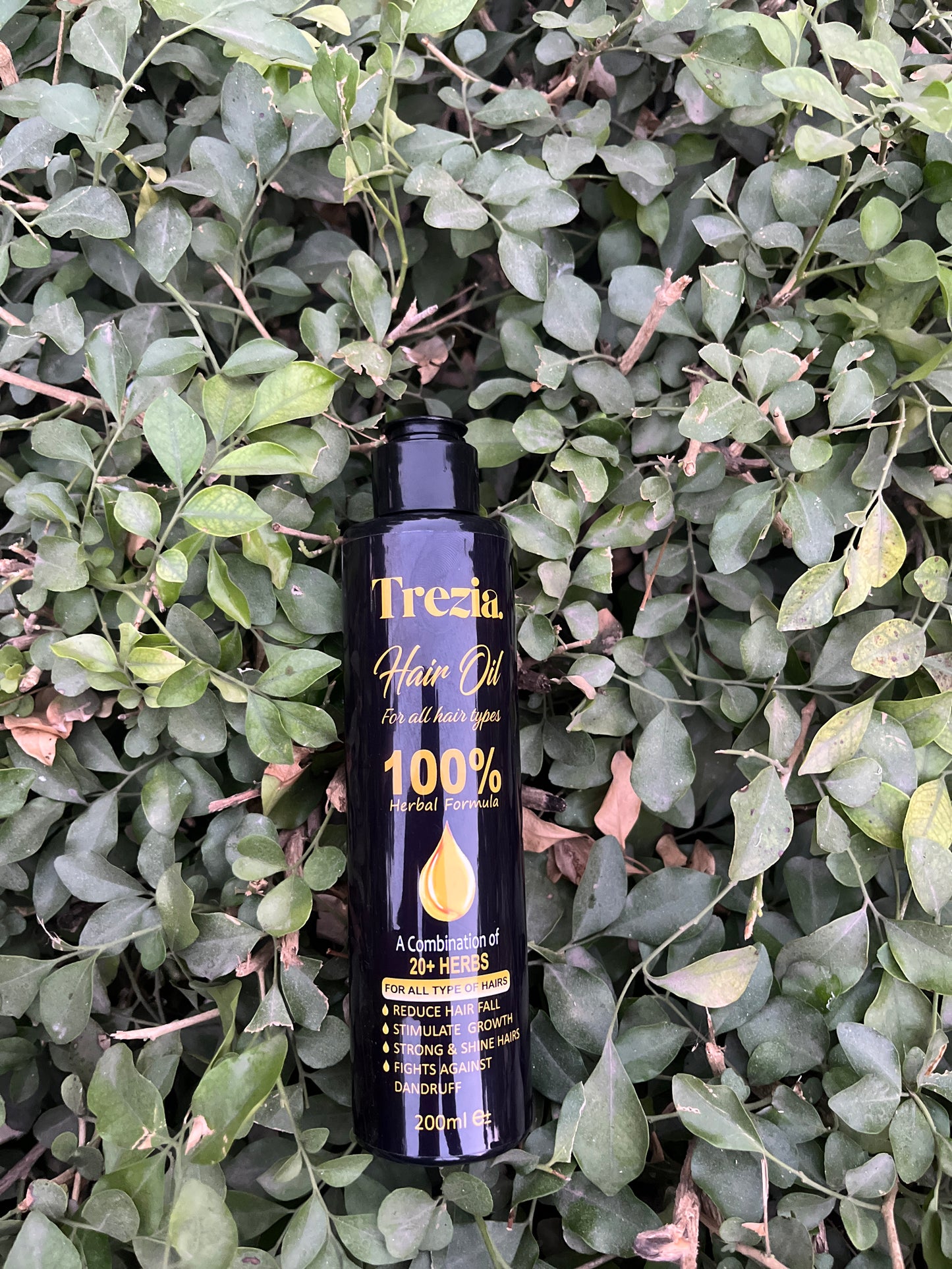 Treezia Hair Growth Oil – Regrow, Repair & Restore Naturally